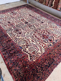 Antique Persian Sarouk rug 11x14 laying flat displaying the full warm ivory field and allover floral design.