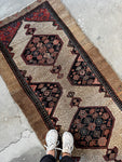 Long Persian runner with decorative spandrels.