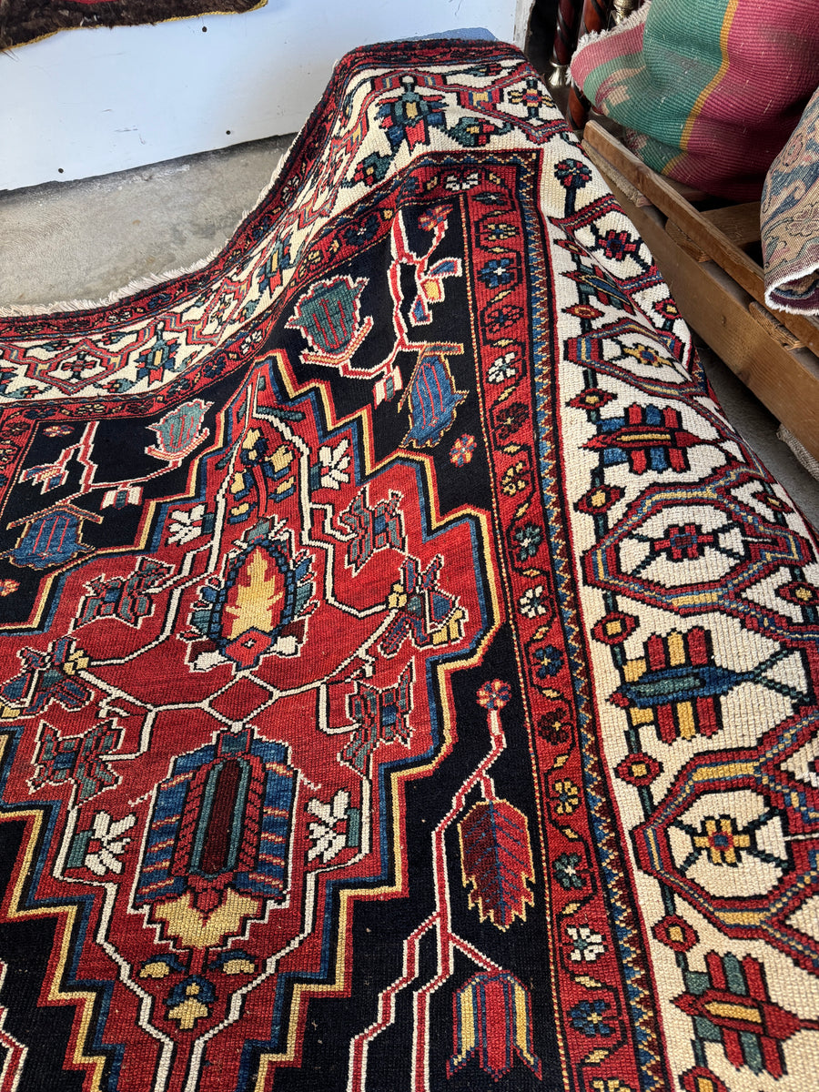 Long and Wide Persian Rug Runner / 5’2 x 15’8 Rug #4112 – Blue Parakeet ...