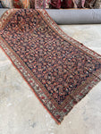 Early 1900s Persian rug with water garden pattern and floral borders.