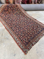 Early 1900s Persian rug with water garden pattern and floral borders.