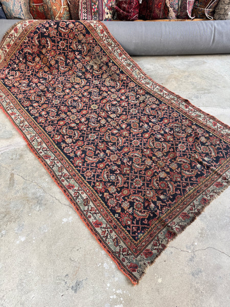 Early 1900s Persian rug with water garden pattern and floral borders.