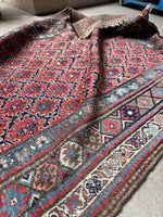 Persian Bidjar rug border with alternating evil eye symbols.