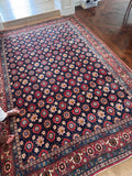 Persian area rug 7x11 centered view highlighting symmetry and rich vegetable dyes.