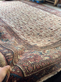 Antique wool rug circa 1890 with a soft dusty rose, pale apricot, and warm ivory field.