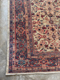 Antique Village Mahal rug. Hand knotted Persian wool carpet with aged vegetable dyes, rust border, and classic turtle motifs.