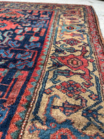 Antique rug with bold tribal field and camel border.