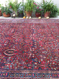 12x16 Antique Debir Rug /  Large Antique Rug (#1377ML) - Blue Parakeet Rugs