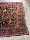 Another view of one end of Persian Bidjar rug laid out.