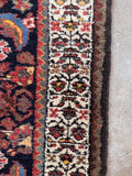 Long and lean entryway runner rug straight-on view displaying the ivory border band design.