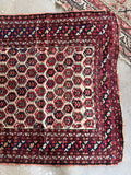 Vibrant vegetable dyed wool area rug with dainty navy and red border bands.