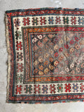 Caucasian mountain rug featuring alternating colored seeds of life paisley patterns across a dark field.