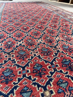 Lattice design Bidjar rug with intricate floral details.