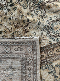 Wool fibers close-up showing soft and plush texture.