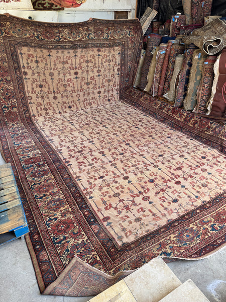 LARGE VINTAGE RUGS – Blue Parakeet Rugs