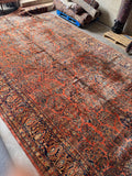11x21 oversized Persian Sarouk rug with glowing coral field and botanical motifs.