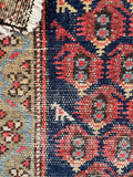 Persian boteh paisley hallway rug with woven peacock elements.