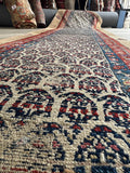 Seraband runner featuring an ivory ground with outlined paisley patterns.