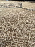 Clean antique rug styled for a welcoming space