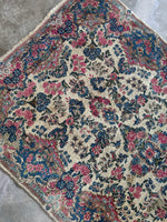 Small Vintage Floral and Plush Persian Rug / 4x7 Kerman Rug #3904
