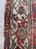 Detailed shot of turtle border motifs on antique Mahal rug.