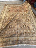 Persian Tabriz rug color variation in natural light.