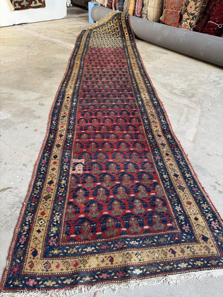 Color variation across length of Persian runner.