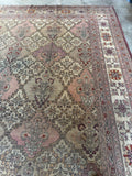 Antique Indian Agra Rug / 10x14 Rug #4577ML