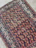 Antique Persian rug with paisley boteh design, hand knotted wool scatter rug in navy and coral.