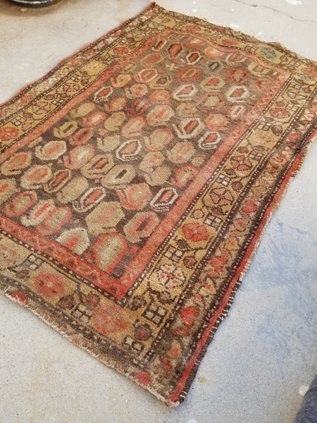 2'3 x 3'2 antique Kurdish rug - Blue Parakeet Rugs