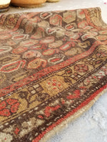 2'3 x 3'2 antique Kurdish rug - Blue Parakeet Rugs