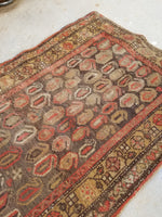 2'3 x 3'2 antique Kurdish rug - Blue Parakeet Rugs