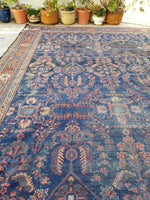 10'5 x 13'4 Midnight Blue Antique Mahal - Blue Parakeet Rugs