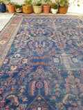 10'5 x 13'4 Midnight Blue Antique Mahal - Blue Parakeet Rugs