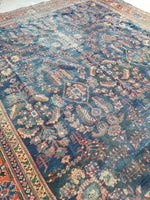 10'5 x 13'4 Midnight Blue Antique Mahal - Blue Parakeet Rugs