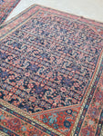 5'3 x 6'9 Indigo Blue Antique Rug #15081 - Blue Parakeet Rugs