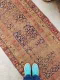 3'2 x 16'7  Love Worn Caucasian Runner (#431) - Blue Parakeet Rugs