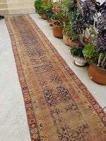 3'2 x 16'7  Love Worn Caucasian Runner (#431) - Blue Parakeet Rugs