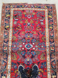 3'6 x 6' Antique Persian Hamadan Rug #466 - Blue Parakeet Rugs