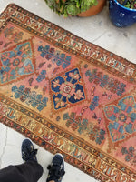 3'4 x 6'2 Antique Persian Malayer - Blue Parakeet Rugs
