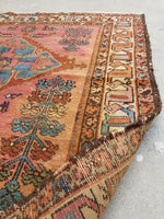 3'4 x 6'2 Antique Persian Malayer - Blue Parakeet Rugs