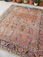 8'6 x 10'1 Antique love worn Mahal - Blue Parakeet Rugs