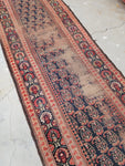3'2 x 15'7 Antique Kurdish Runner #489 - Blue Parakeet Rugs