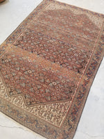 4'4 x 6'5 antique Persian Ferahan Sarouk (#782ML) - Blue Parakeet Rugs