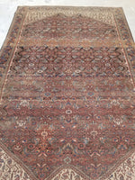 4'4 x 6'5 antique Persian Ferahan Sarouk (#782ML) - Blue Parakeet Rugs
