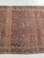 4'4 x 6'5 antique Persian Ferahan Sarouk (#782ML) - Blue Parakeet Rugs