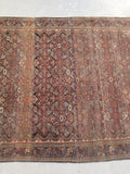 4'4 x 6'5 antique Persian Ferahan Sarouk (#782ML) - Blue Parakeet Rugs