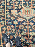 [vintage rugs] - Blue Parakeet Rugs
