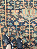 [vintage rugs] - Blue Parakeet Rugs