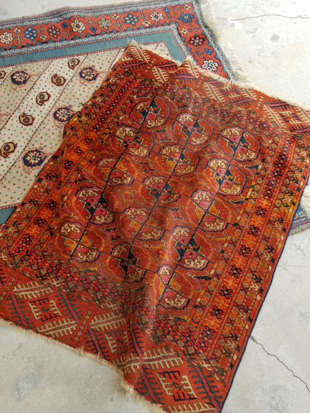 2'7 x 3'10 antique Tribal Turkmen / Turkoman Rug / Small Antique Rug (#1300) - Blue Parakeet Rugs
